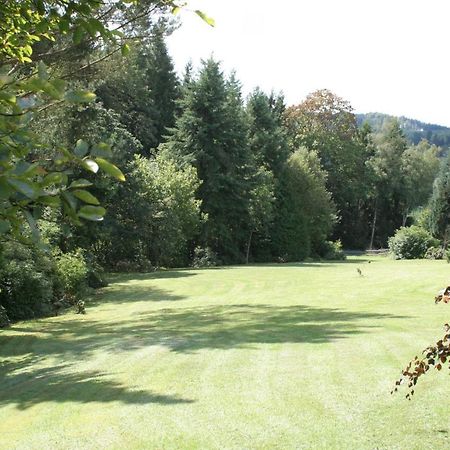 Fewo Roespe Erndtebrück Exterior foto